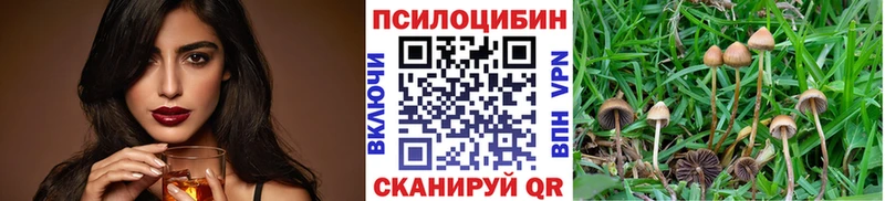 Галлюциногенные грибы мухоморы  Тула 
